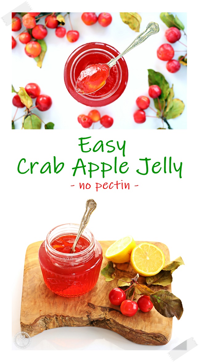 Easy Crab Apple Jelly + video tutorial | Fab Food 4 All